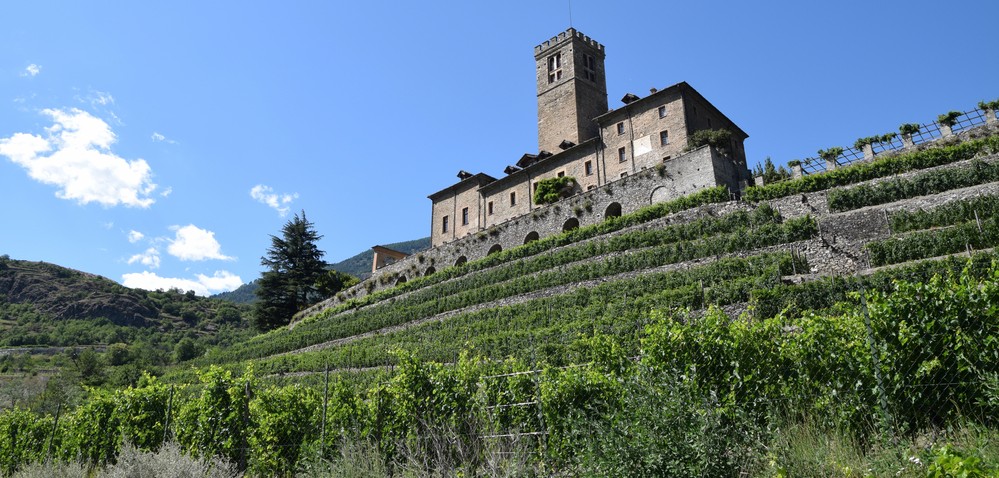 provincia aosta vino