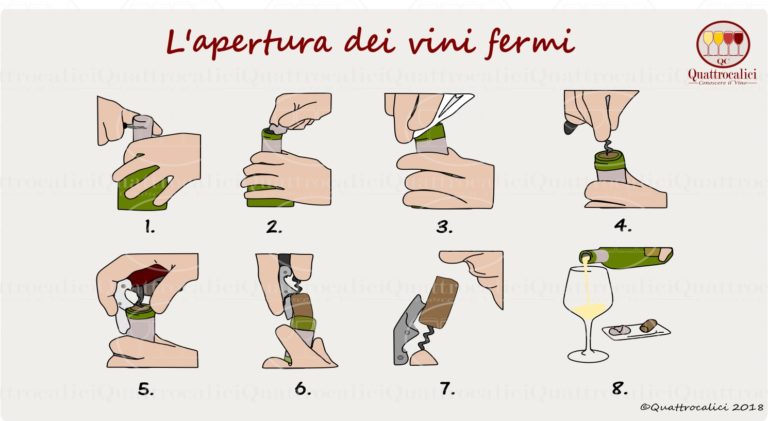 apertura bottiglia vini fermi