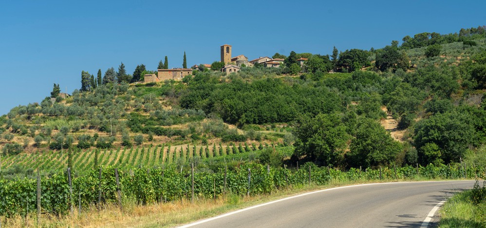 provincia arezzo vino