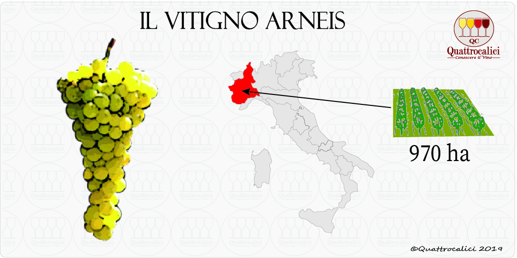 vitigno arneis