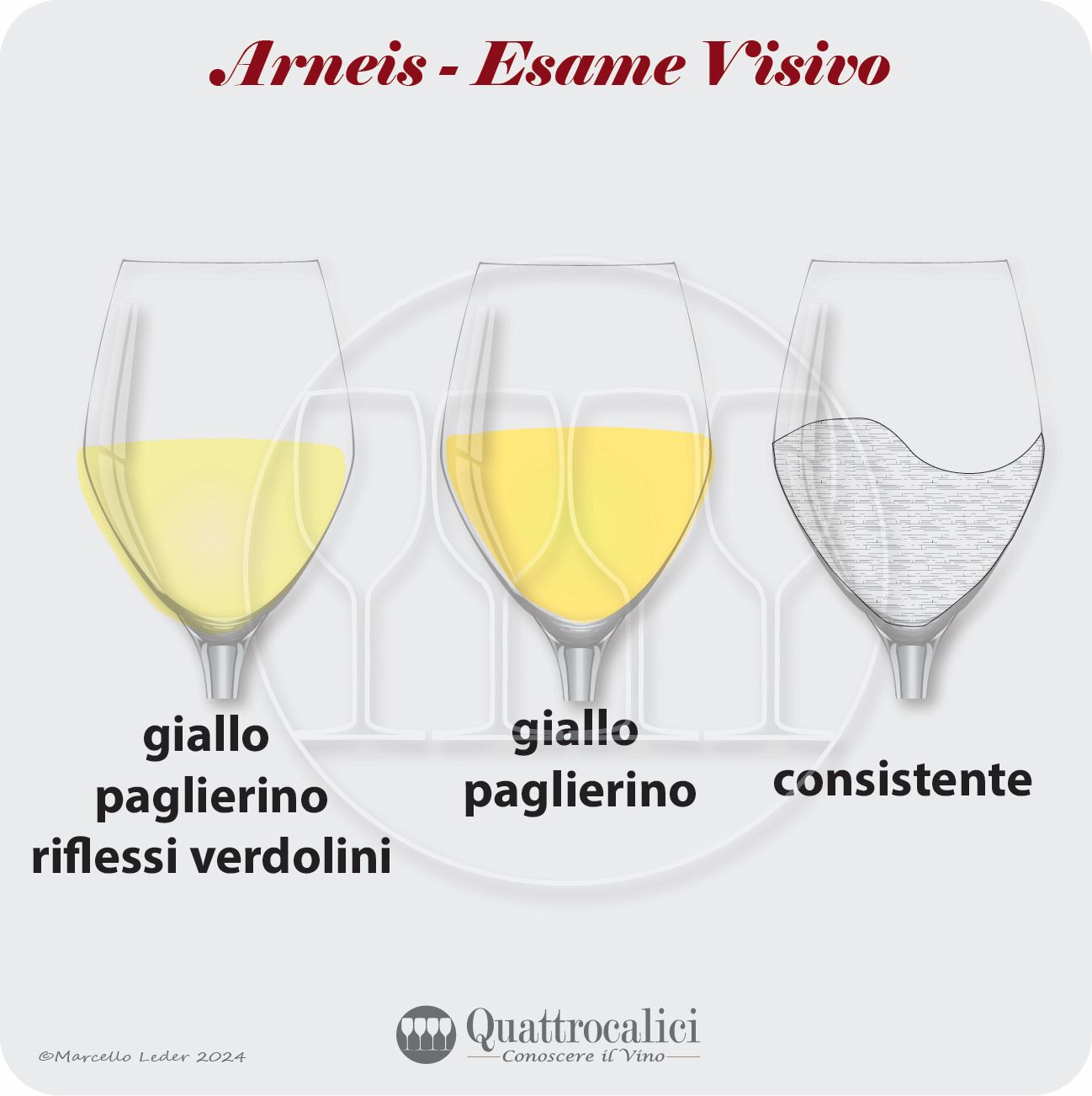 l'esame visivo dei vini arneis
