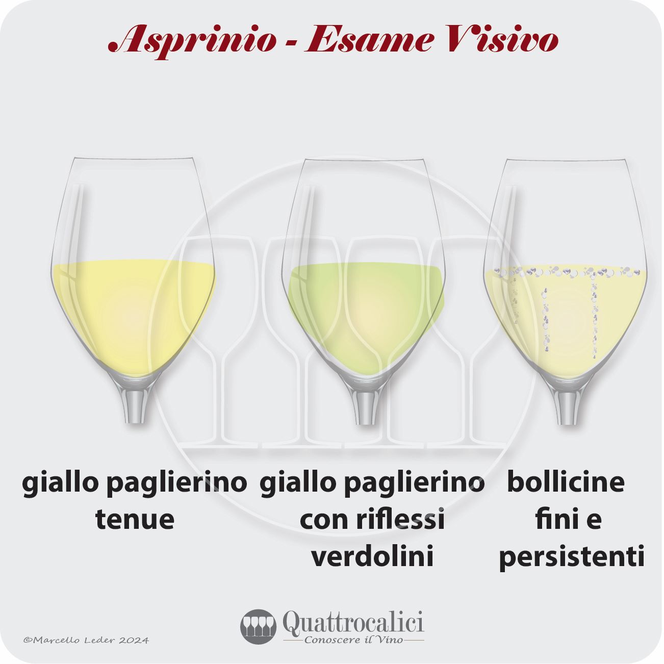 L'esame visivo dei vini Asprinio