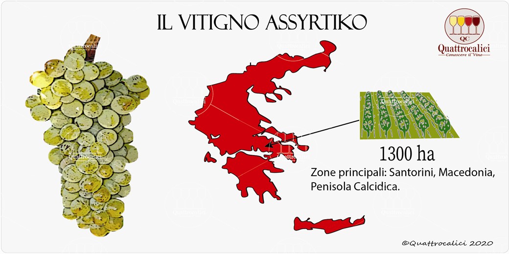 vitigno assyrtiko