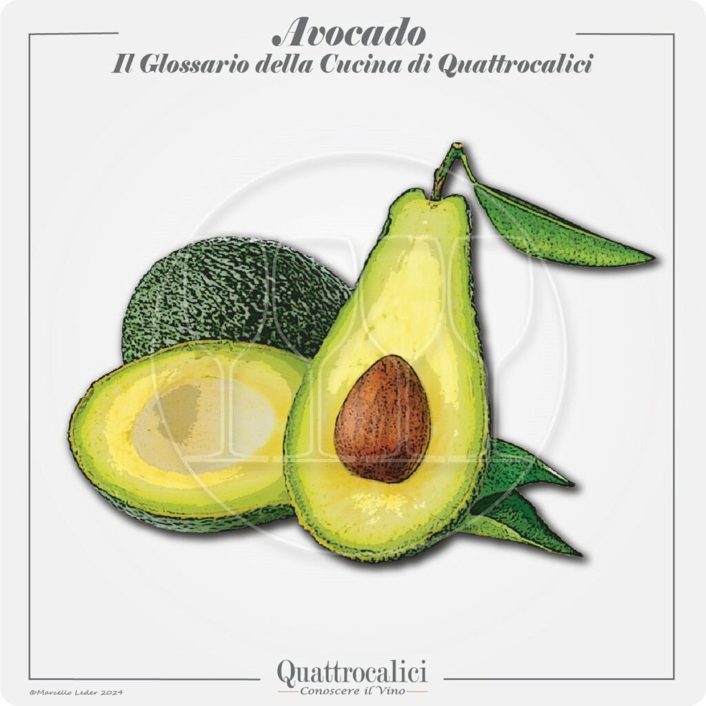 L'avocado in cucina