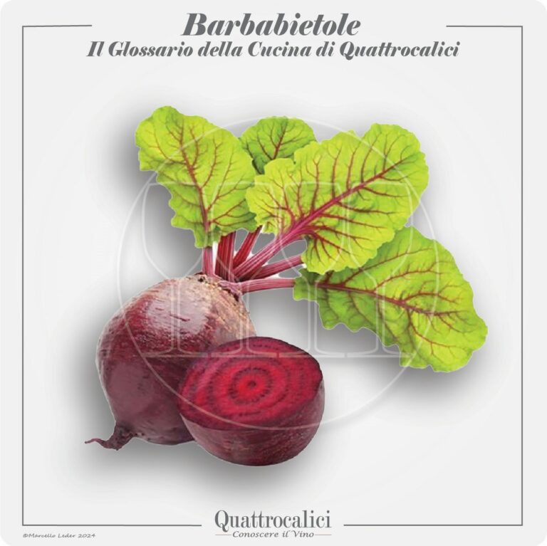 le barbabietole in cucina e con i vini