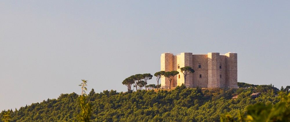 provincia di barletta-andri-trani vino