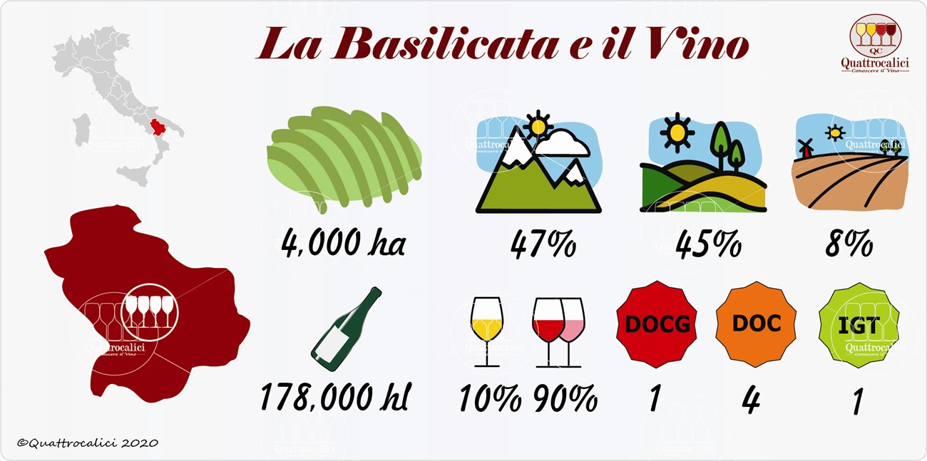 vino e vini in basilicata