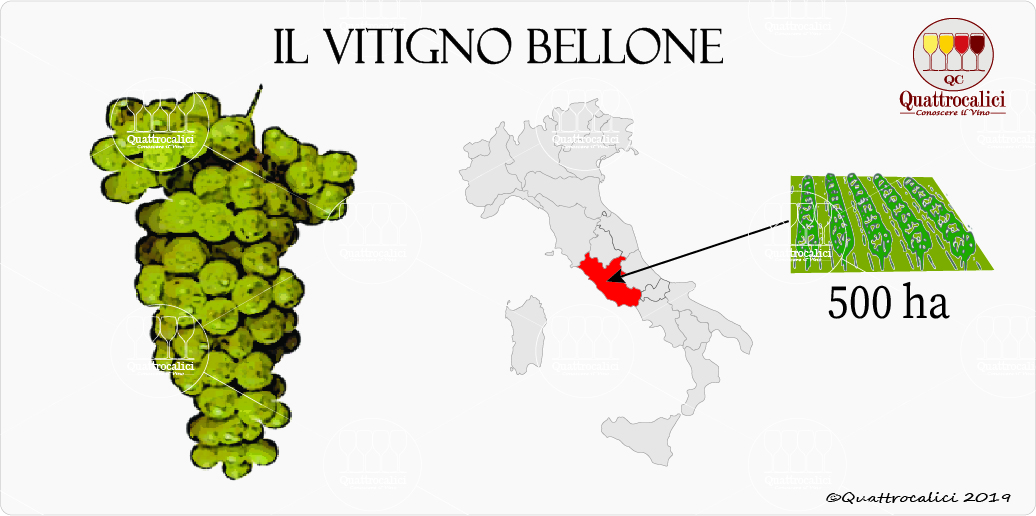 vitigno bellone