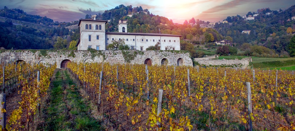 provincia Bergamo vini