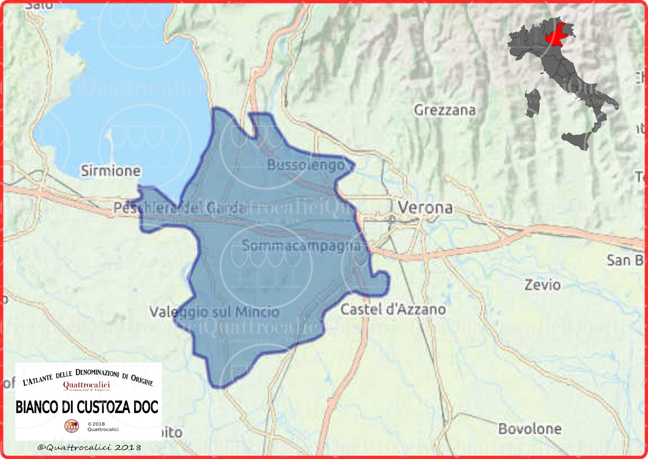 Bianco di Custoza o Custoza DOC Quattrocalici Le tipologie dei vini