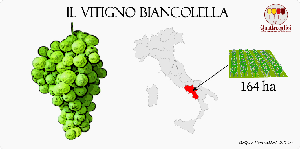 vitigno biancolella