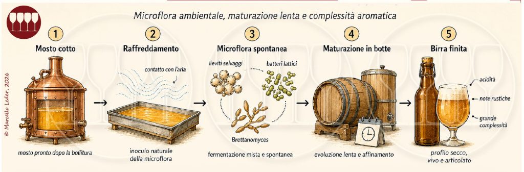 Produzione della birra – La Fermentazione - Quattrocalici