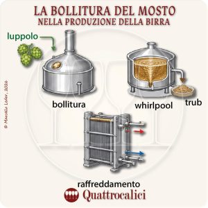 La Bollitura del Mosto nella produzione della Birra