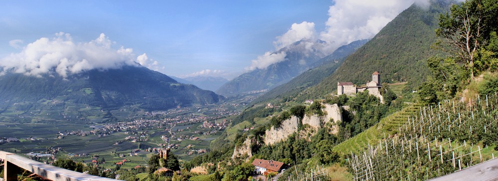 provincia di bolzano vini