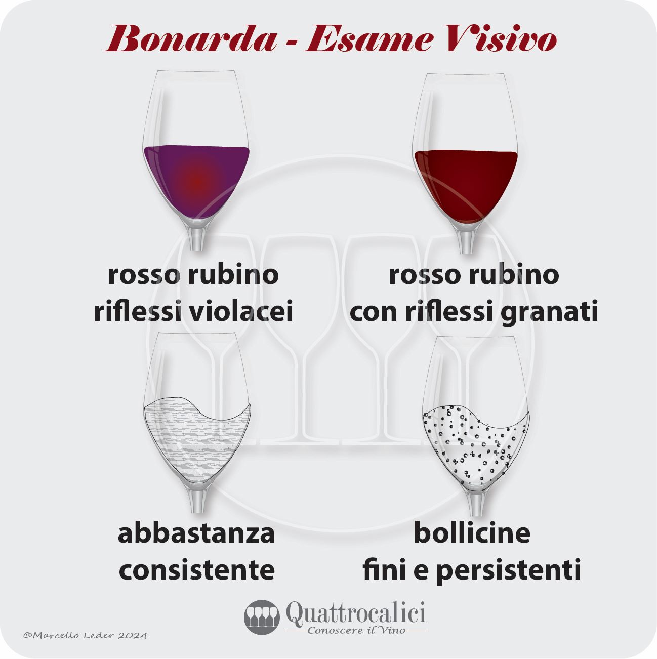 L'esame visivo dei vini bonarda