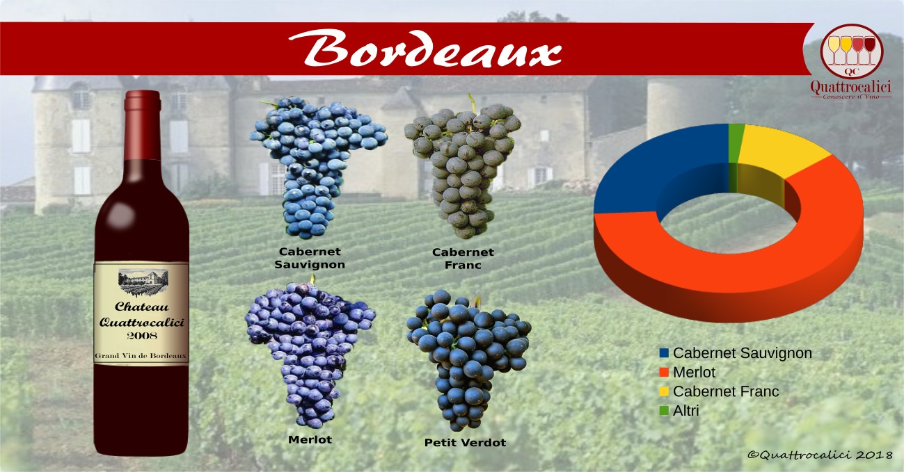 bordeaux vino