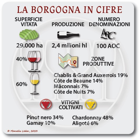 borgogna numeri del vino