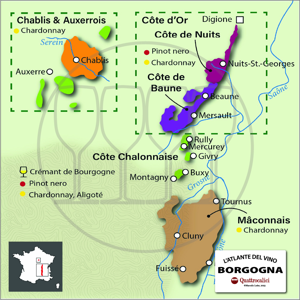 borgogna cartina vino