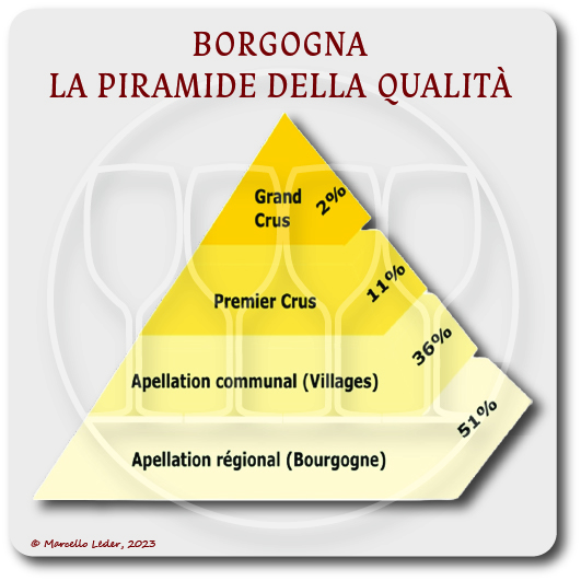 borgogna piramide qualità vino