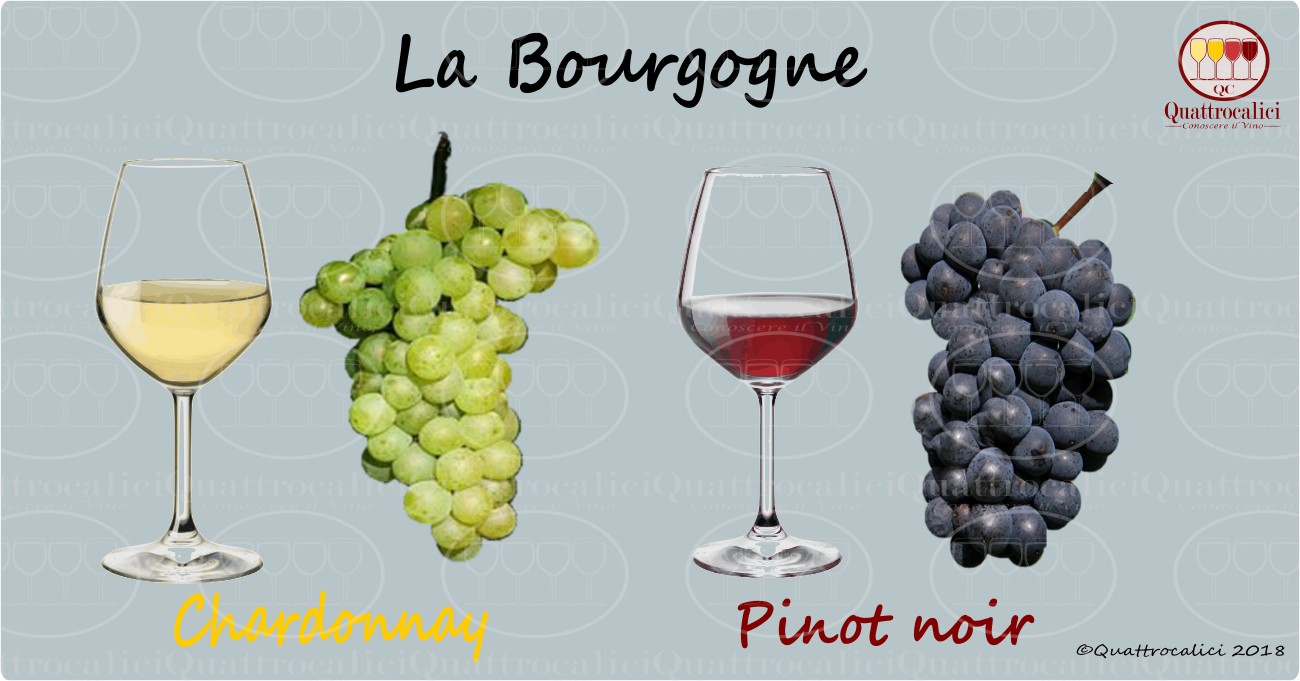 borgogna - i vini