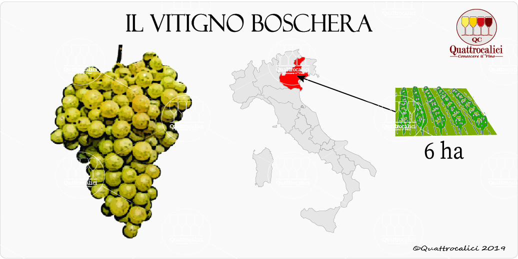 vitigno boschera