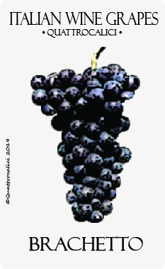 brachetto vitigno