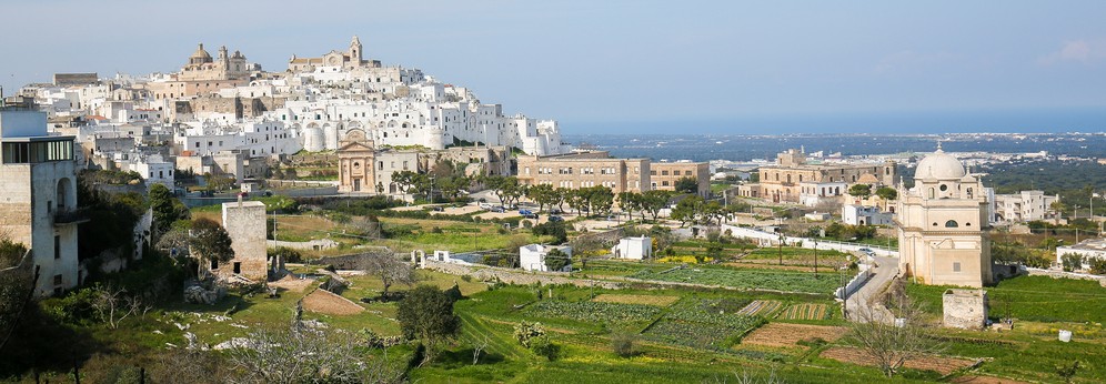 provincia brindisi vino