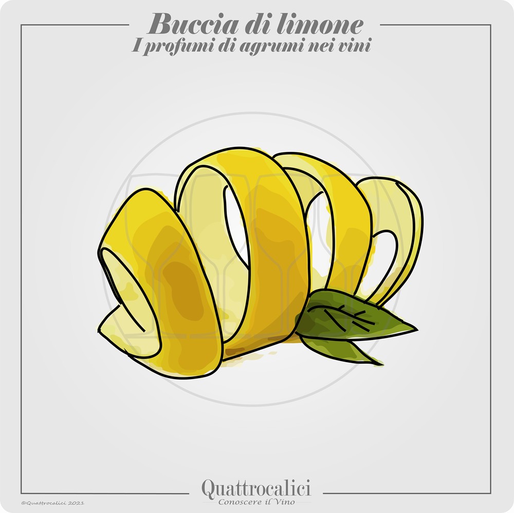 Il profumo di buccia di limone nei vini