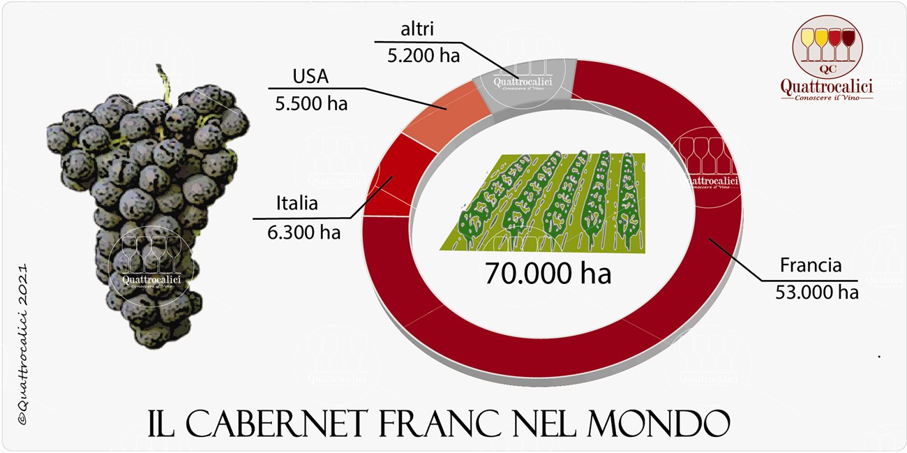 cabernet franc nel mondo