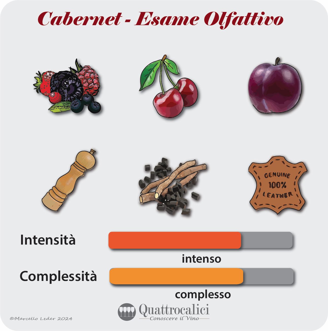 L'esame olfattivo dei vini cabernet