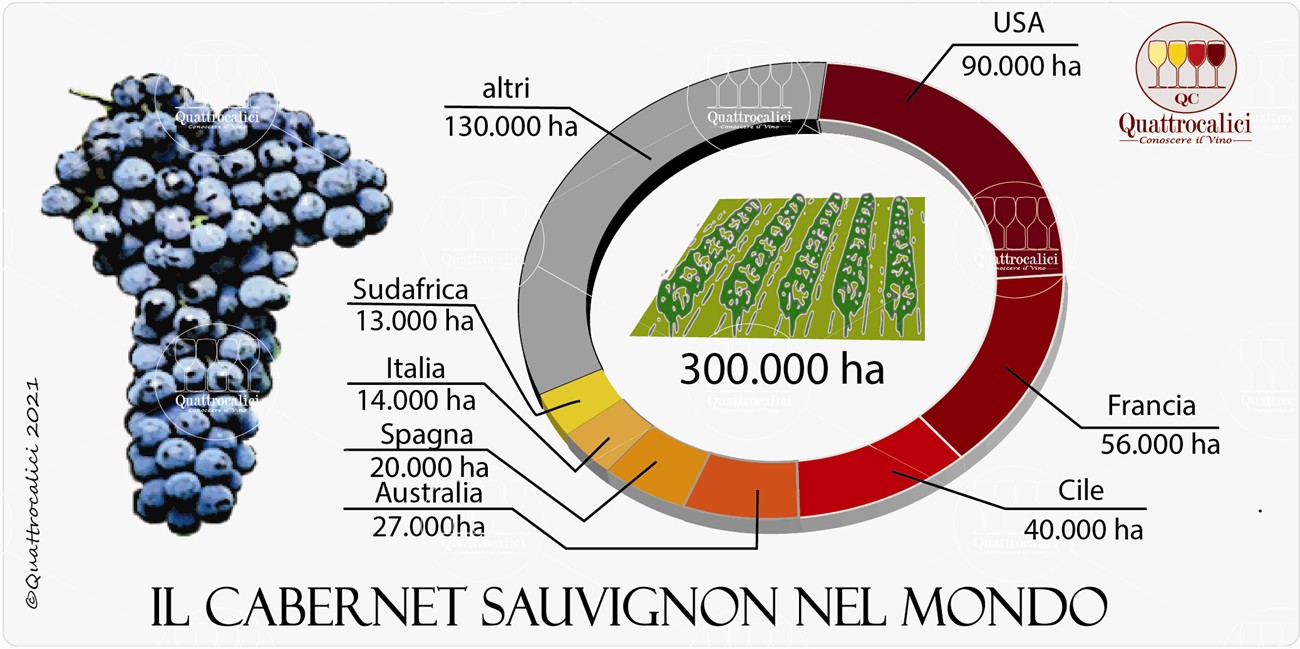 cabernet sauvignon nel mondo