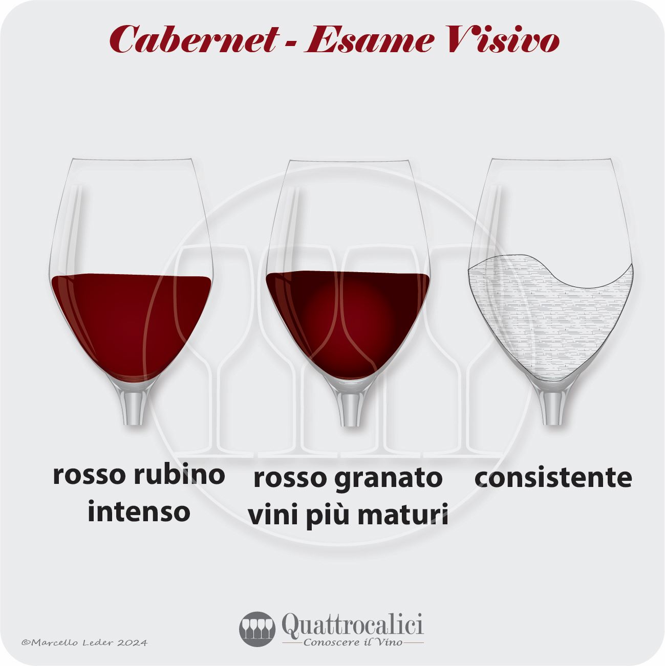 L'esame visivo dei vini cabernet