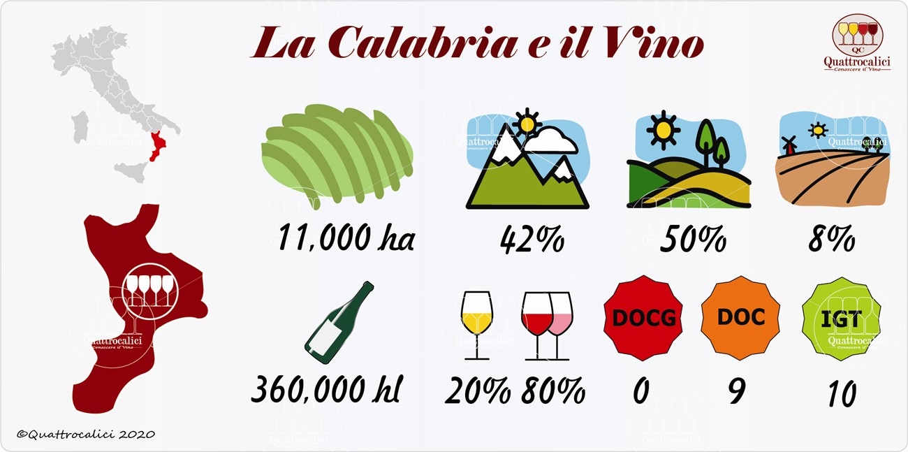 vino e vini in calabria