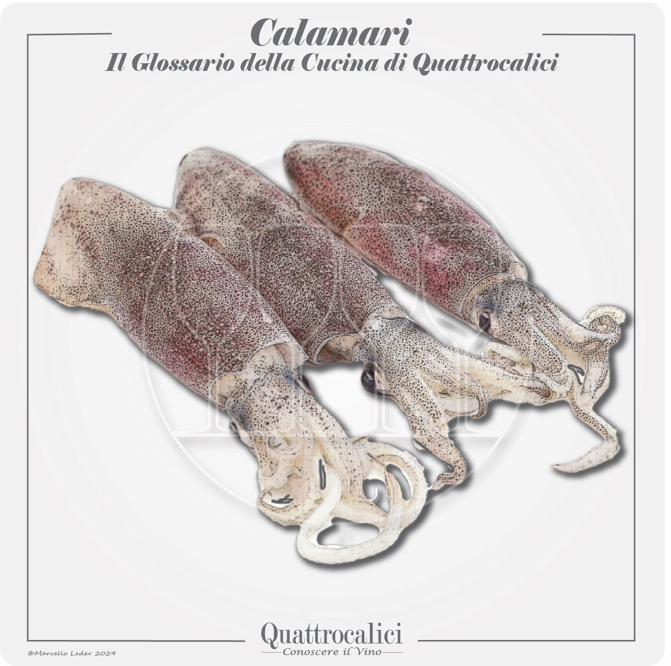 i calamari in cucina
