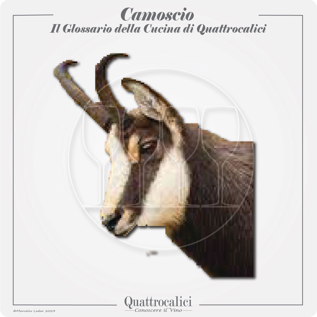 il camoscio in cucina e con il vino