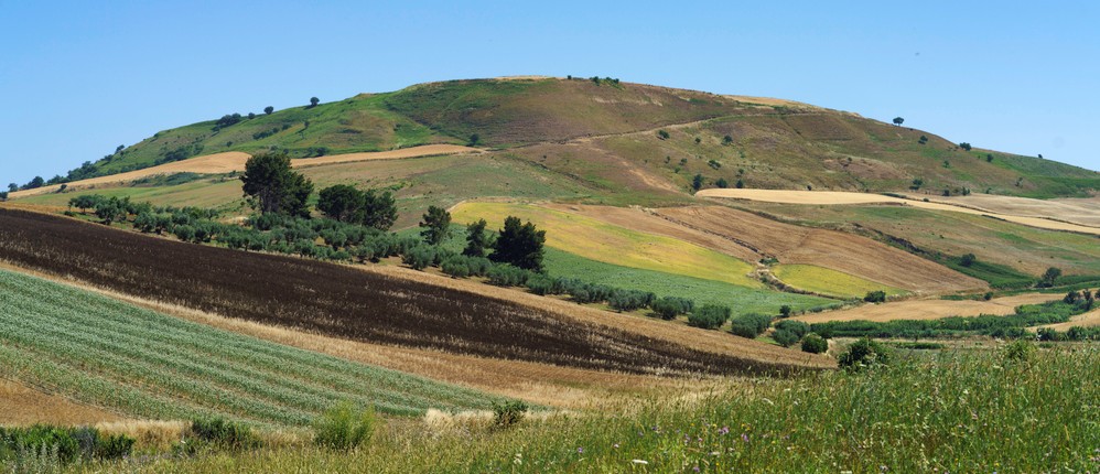 provincia campobasso vini