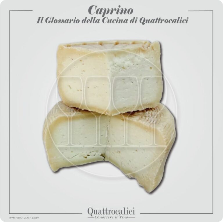 caprino il formaggio in cucina e con i vini
