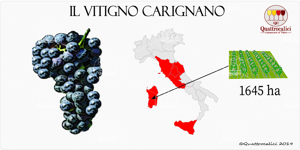 vitigno carignano