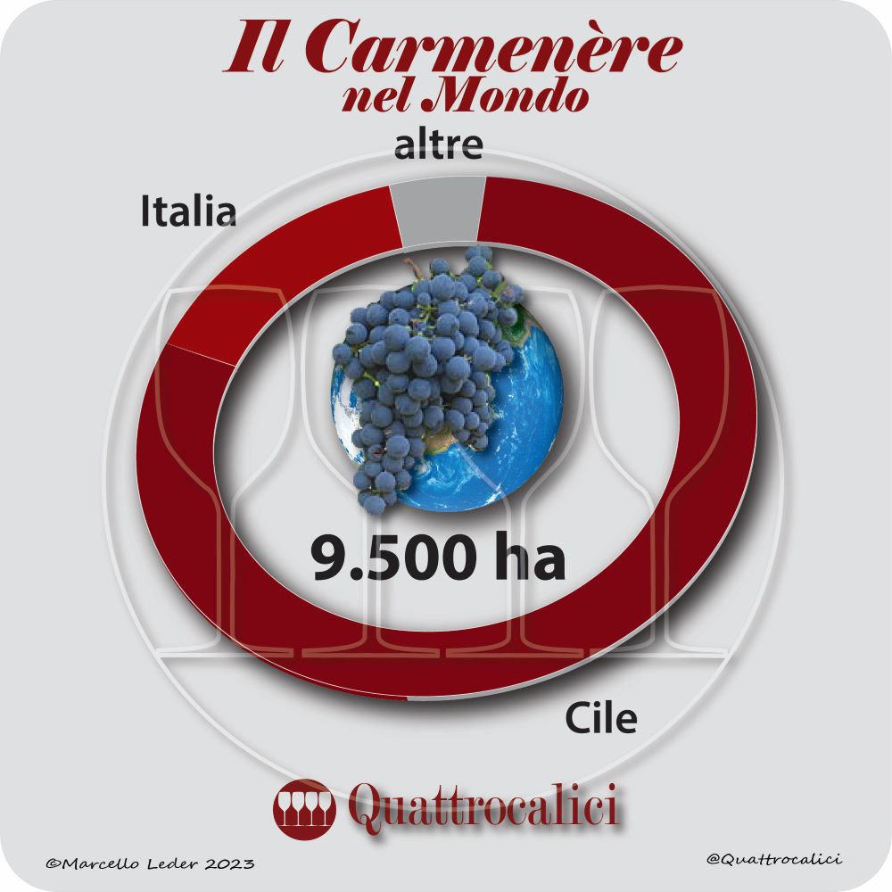 Il Carmenère nel mondo