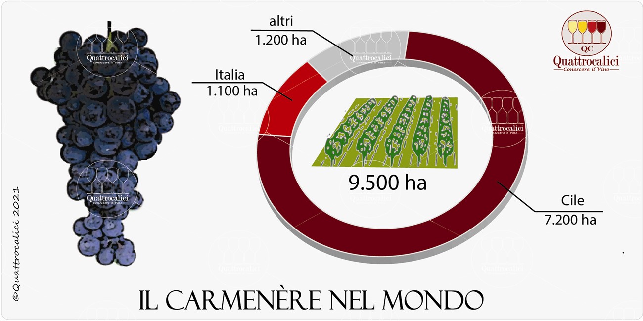 carmenere nel mondo