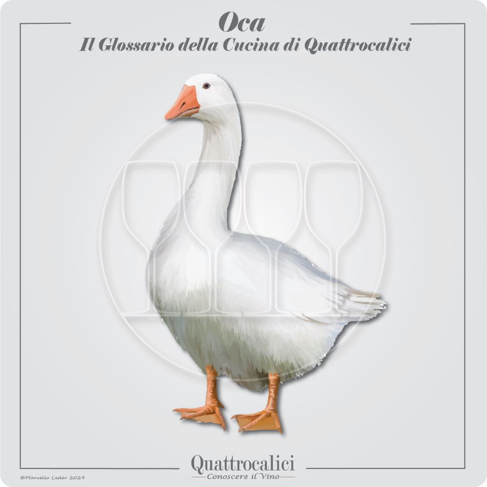 La carne di oca e l'abbinamento con i vini