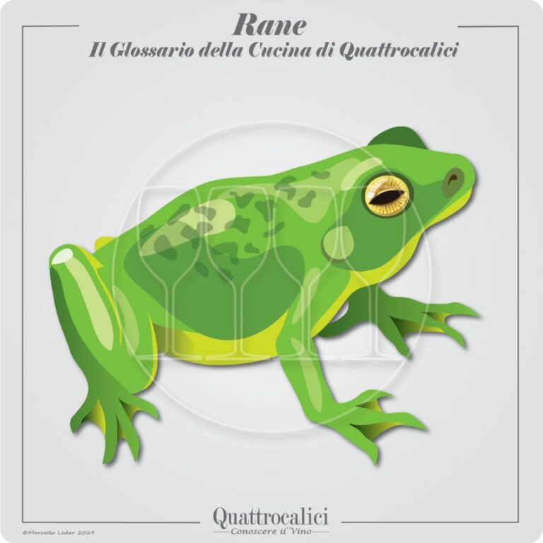 La carne di rana e l'abbinamento con i vini