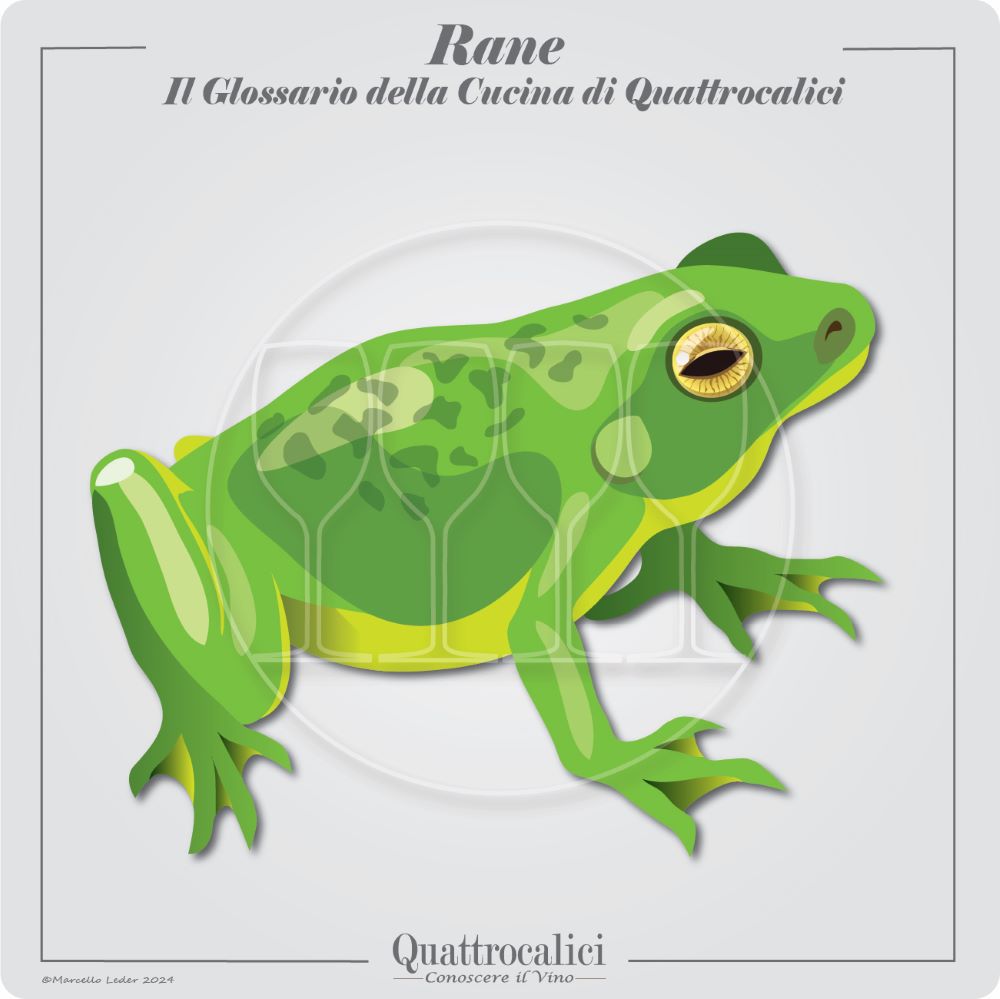La carne di rana e l'abbinamento con i vini