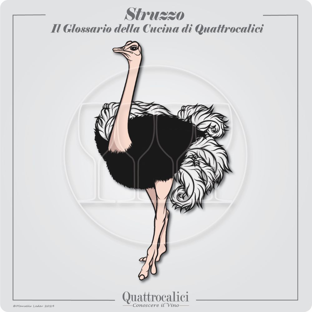 La carne di struzzo e i vini in abbinamento