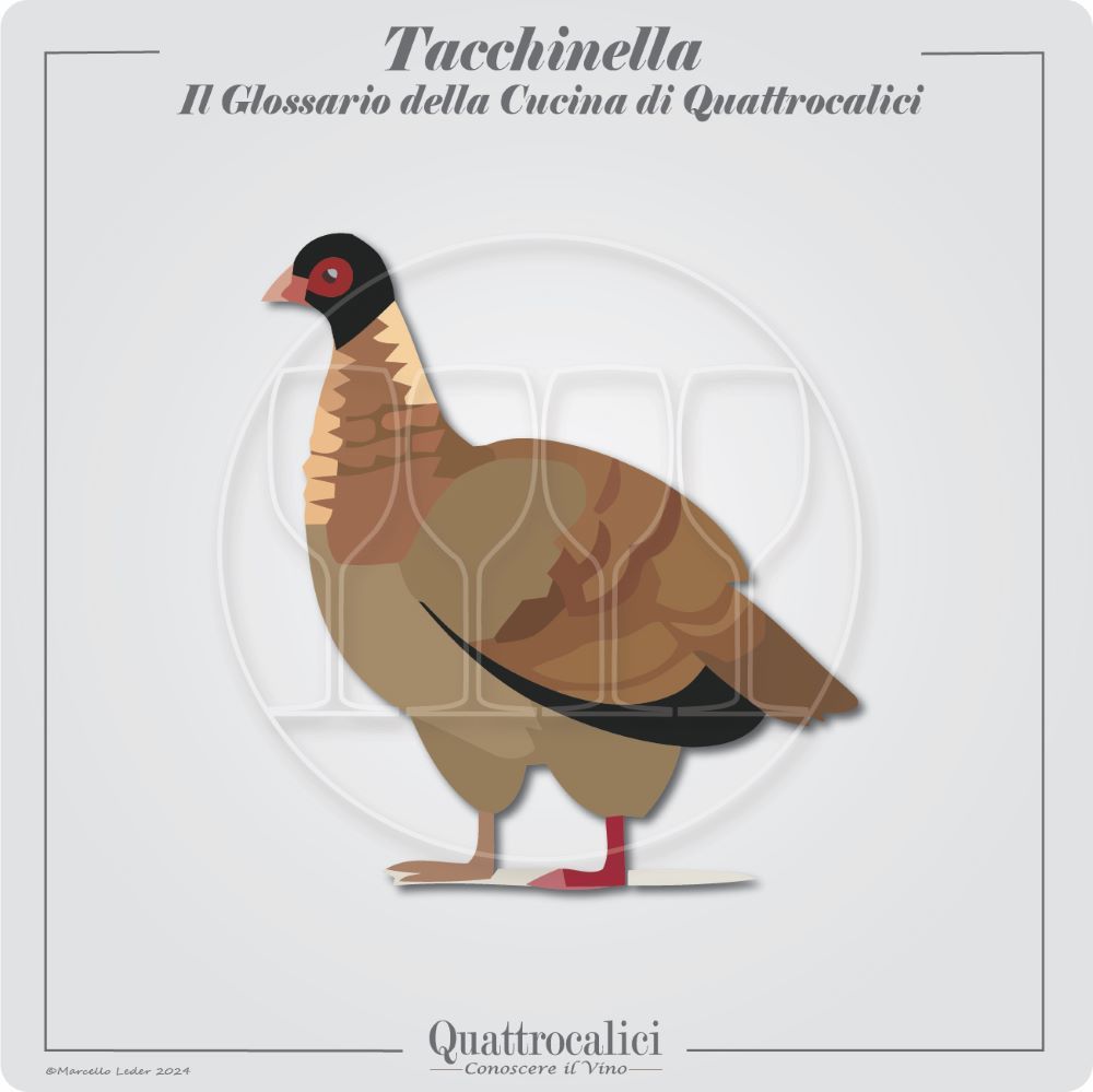 La carne di tacchinella e il vino