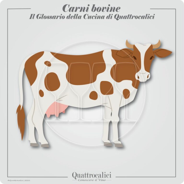 carne bovina e vino