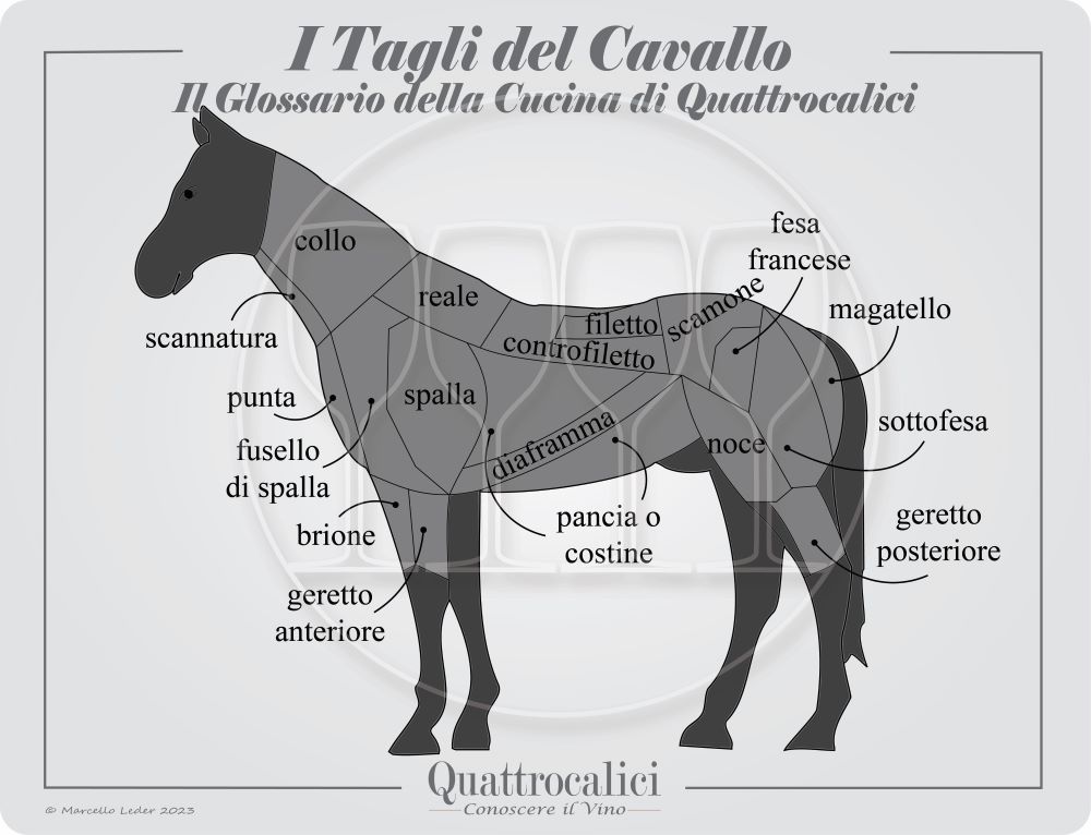 i tagli della carne di cavallo