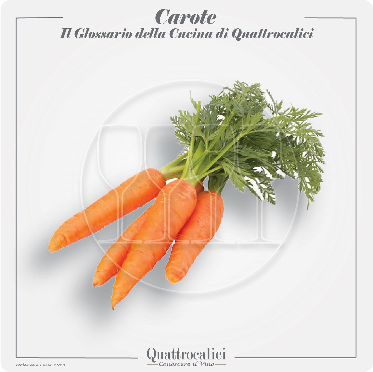 le carote in cucina e con i vini
