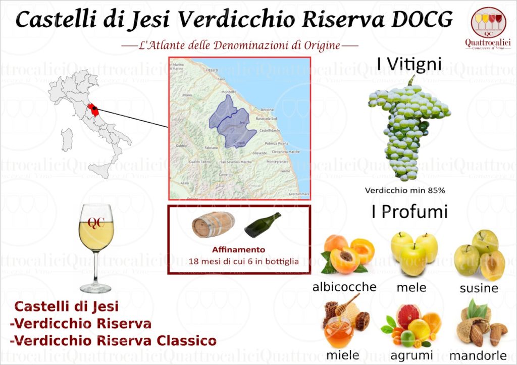 castelli-di-jesi-verdicchio-riserva-docg