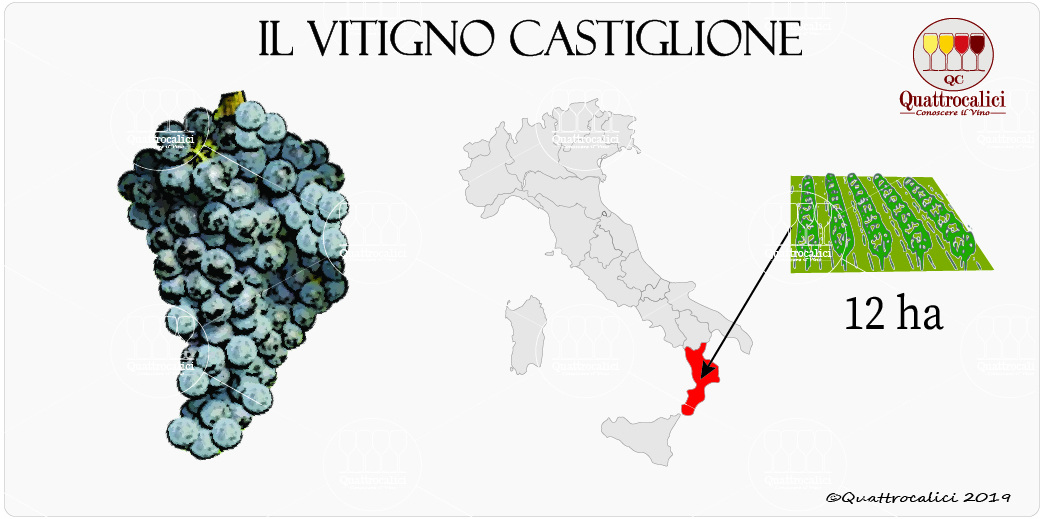 vitigno castiglione